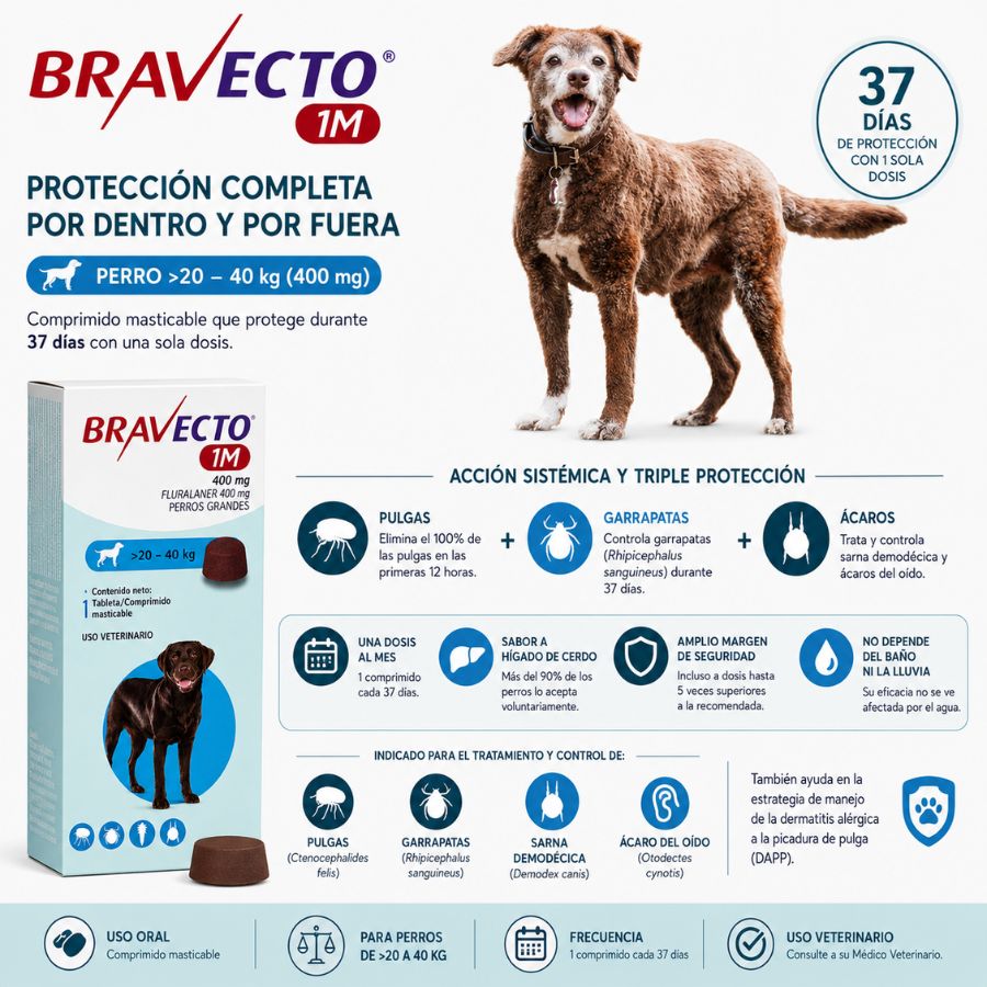 Beneficios de Bravecto 1M Perro 20-40 kg: pulgas, garrapatas, sarna demodécica y ácaro del oído en 37 días