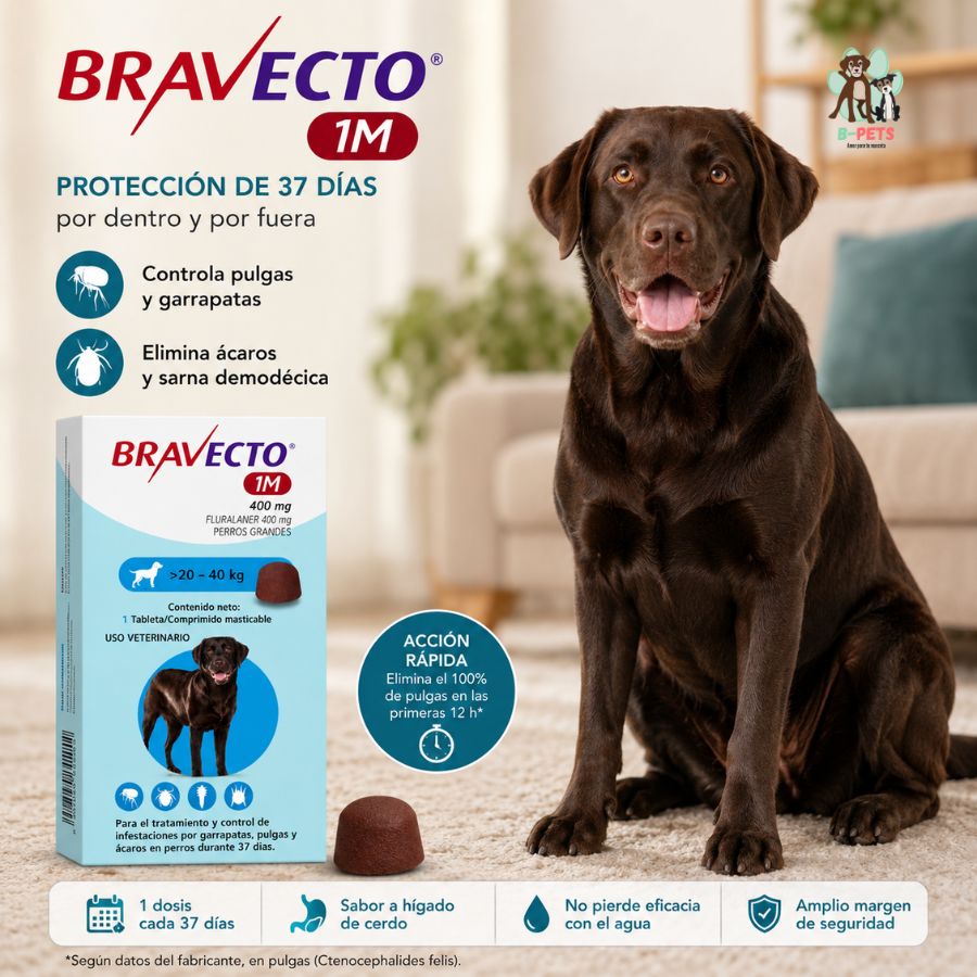 Bravecto 1M Perro 20-40 kg junto a un perro, 37 días de protección contra pulgas, garrapatas y ácaros