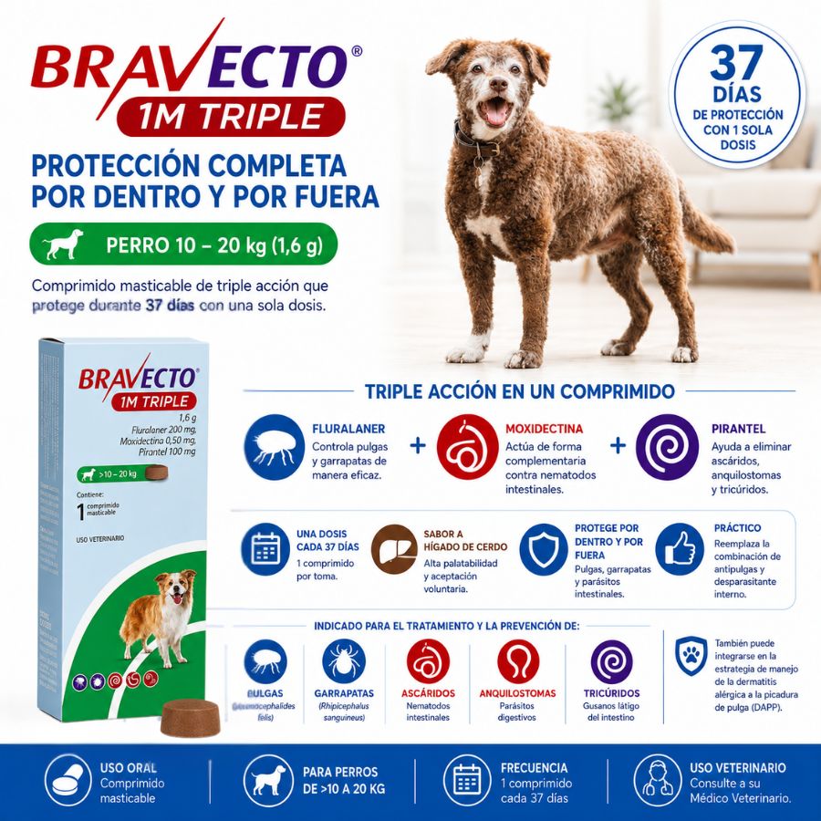 Triple acción de Bravecto 1M Triple Perro 10-20 kg: pulgas, garrapatas, áscaridos, anquilostomas y tricúridos en 37 días
