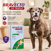 Bravecto 1M Triple Perro 10-20 kg junto a un perro, 37 días de protección por dentro y por fuera con una dosis