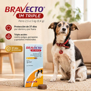 Reverso de Bravecto 1M Triple Perro 2,5-5 kg: fluralaner 50 mg, moxidectina 0,125 mg y pirantel 25 mg, Reg. SAG N° 2736-B