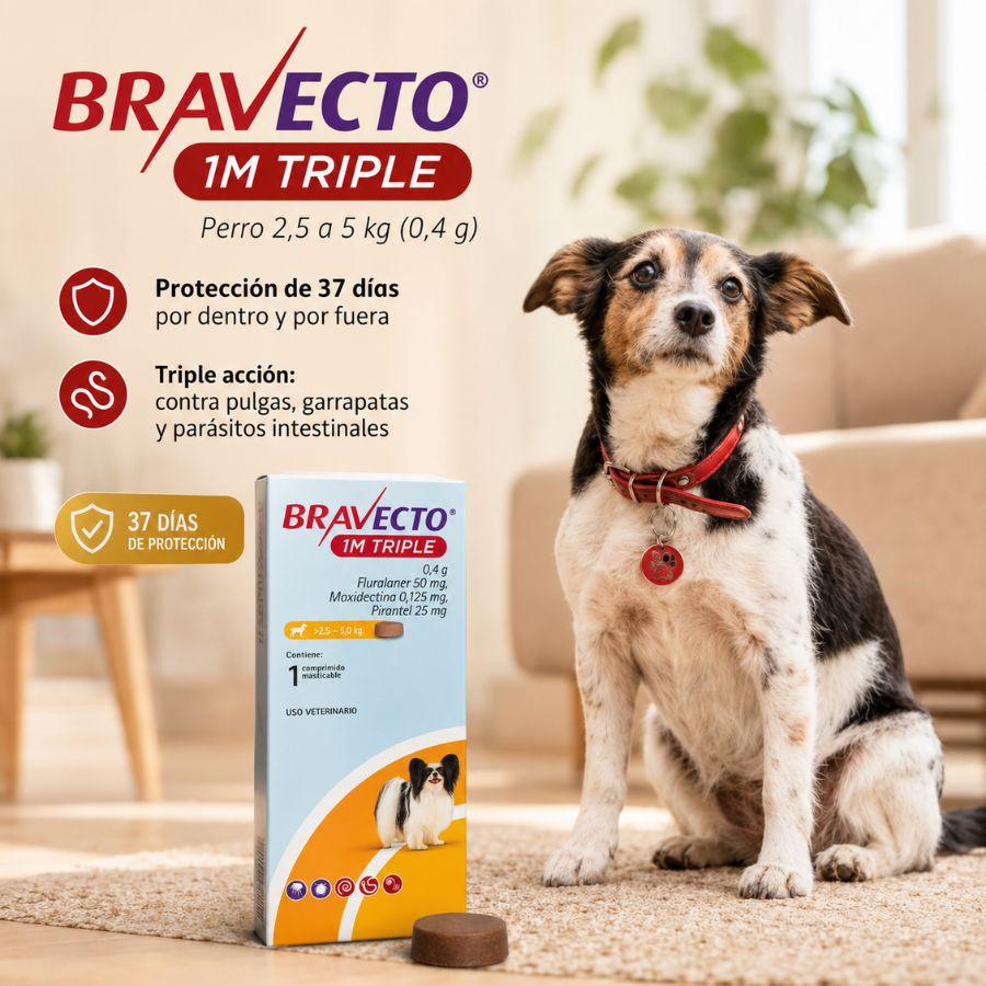 Reverso de Bravecto 1M Triple Perro 2,5-5 kg: fluralaner 50 mg, moxidectina 0,125 mg y pirantel 25 mg, Reg. SAG N° 2736-B