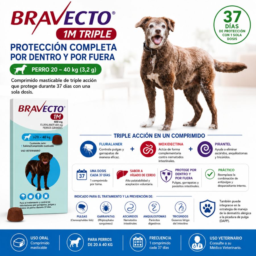Triple acción de Bravecto 1M Triple Perro 20-40 kg: pulgas, garrapatas, áscaridos, anquilostomas y tricúridos en 37 días