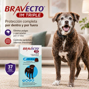 Bravecto 1M Triple Perro 20-40 kg junto a un perro, 37 días de protección por dentro y por fuera con una dosis