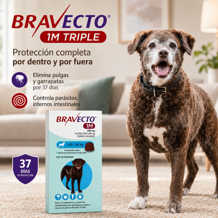 Bravecto 1M Triple Perro 20-40 kg junto a un perro, 37 días de protección por dentro y por fuera con una dosis