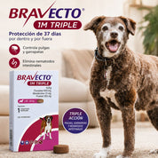 Bravecto 1M Triple Perro 40-56 kg junto a un perro, 37 días de protección por dentro y por fuera con una dosis