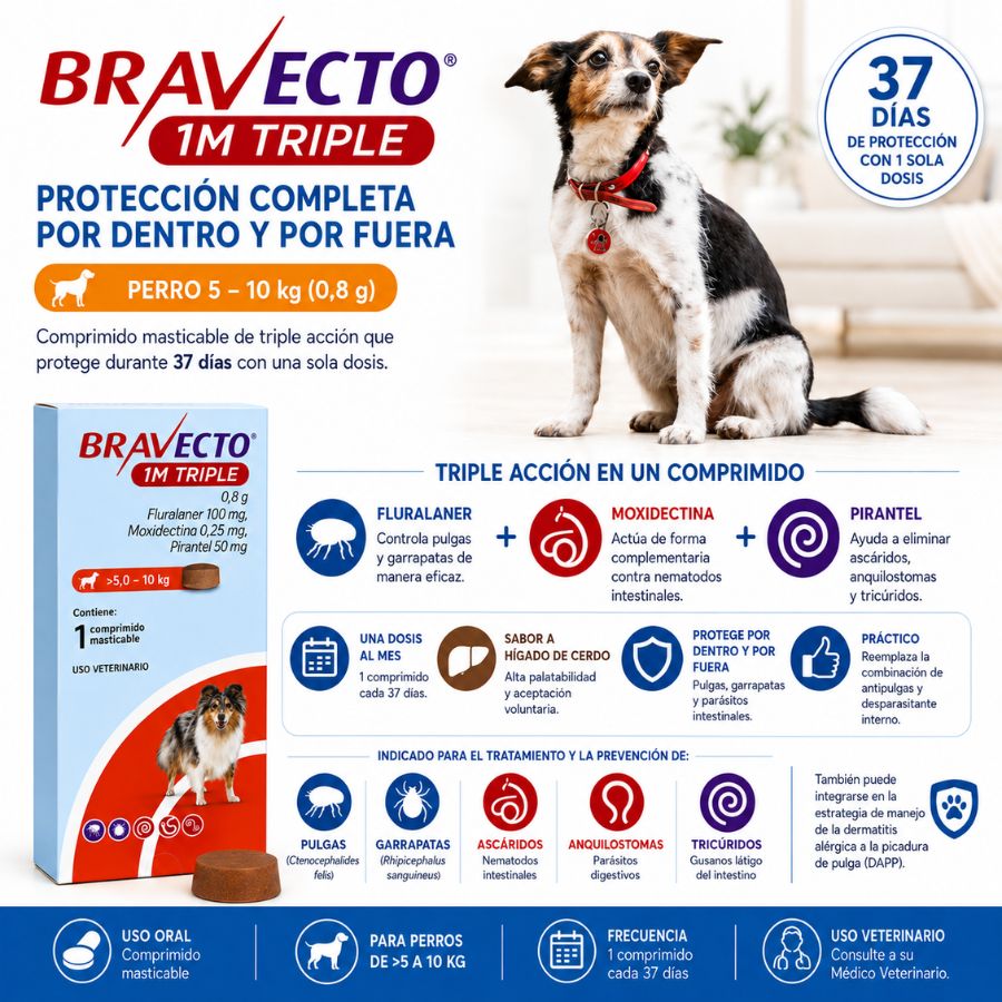 Triple acción de Bravecto 1M Triple Perro 5-10 kg: pulgas, garrapatas, áscaridos, anquilostomas y tricúridos en 37 días
