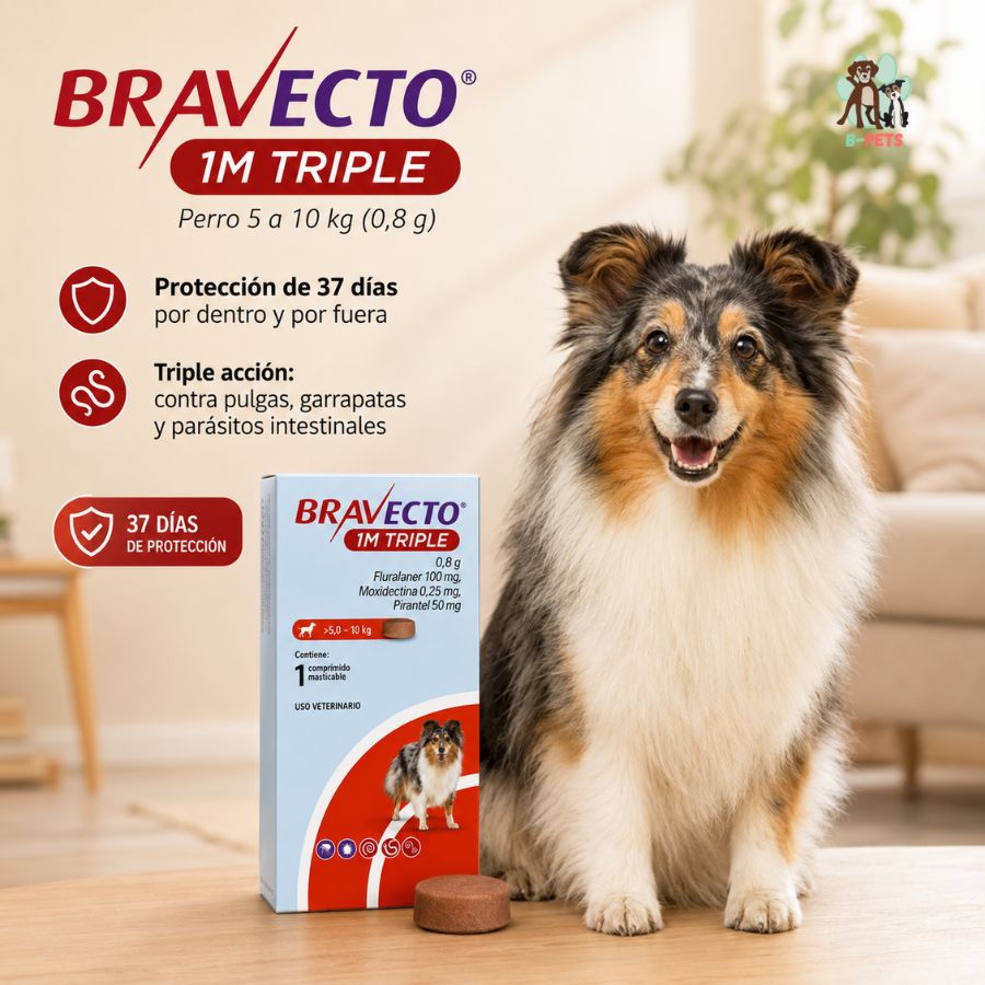 Bravecto 1M Triple Perro 5-10 kg junto a un perro, 37 días de protección por dentro y por fuera con una dosis