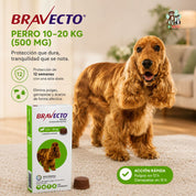 Beneficios de Bravecto Perro 10-20 kg: 12 semanas de protección con una dosis contra pulgas, garrapatas y ácaros