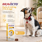 Infografía de beneficios de Bravecto Perro 2 a 4,5 kg: protección contra pulgas, garrapatas, sarna y ácaros por 12 semanas