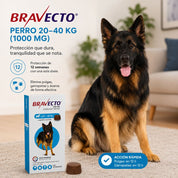 Beneficios de Bravecto Perro 20-40 kg: 12 semanas de protección con una dosis contra pulgas, garrapatas y ácaros