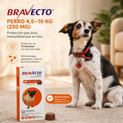 Infografía de beneficios de Bravecto Perro 4,5 a 10 kg: protección contra pulgas y garrapatas por 12 semanas