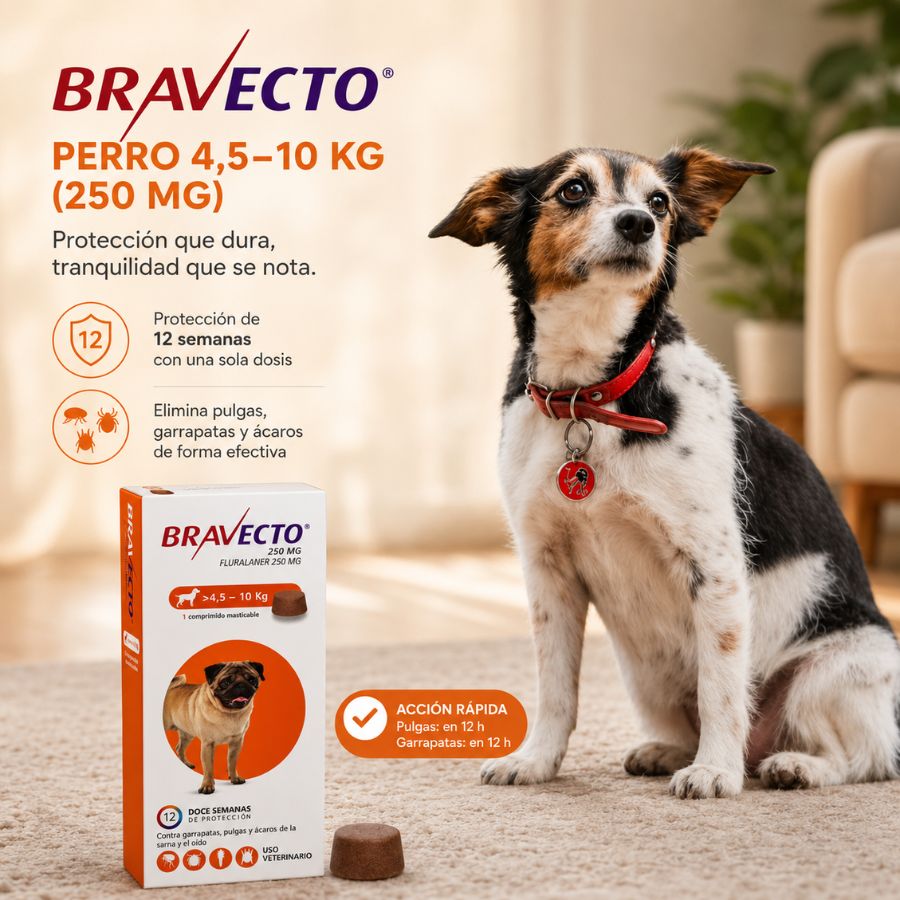 Infografía de beneficios de Bravecto Perro 4,5 a 10 kg: protección contra pulgas y garrapatas por 12 semanas