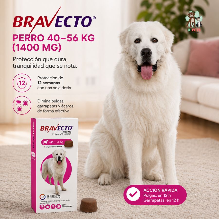 Beneficios de Bravecto Perro 40-56 kg: 12 semanas de protección con una dosis contra pulgas, garrapatas y ácaros