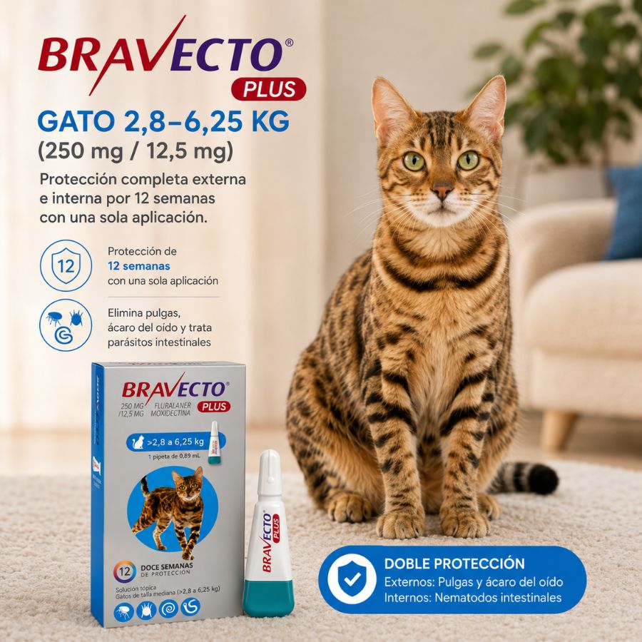 Beneficios de Bravecto Plus Gato 2,8-6,25 kg: 12 semanas de protección contra pulgas, ácaro del oído y nematodos intestinales