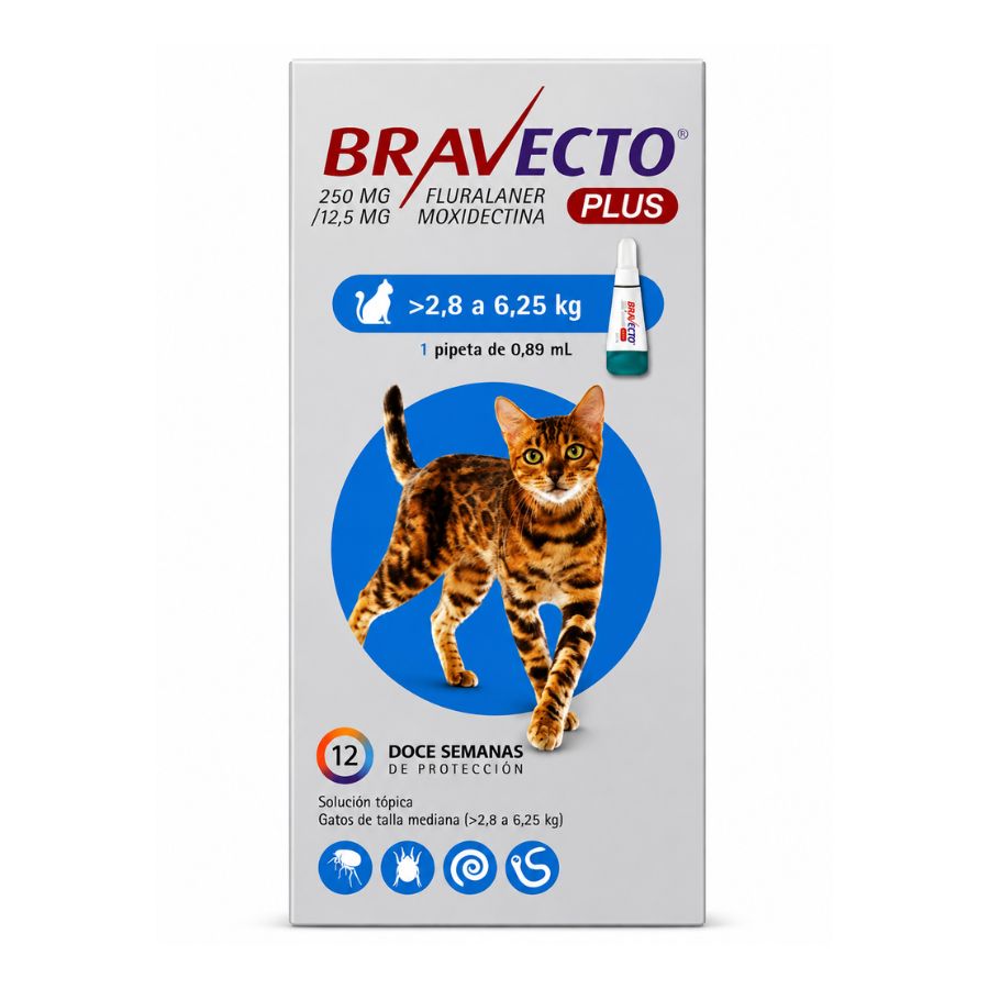 Bravecto Plus Gato 2,8-6,25 kg 250 mg, pipeta spot-on antiparasitaria, frente del envase con 12 semanas de protección