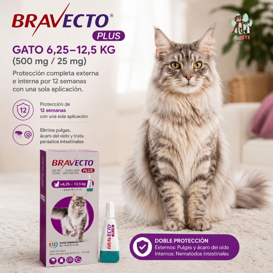 Beneficios de Bravecto Plus Gato 6,25-12,5 kg: 12 semanas de protección contra pulgas, ácaro del oído y nematodos intestinales