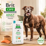 Perro de raza grande junto a la bolsa de Brit Care Salmón grain-free, con apoyo articular y piel y pelaje sanos