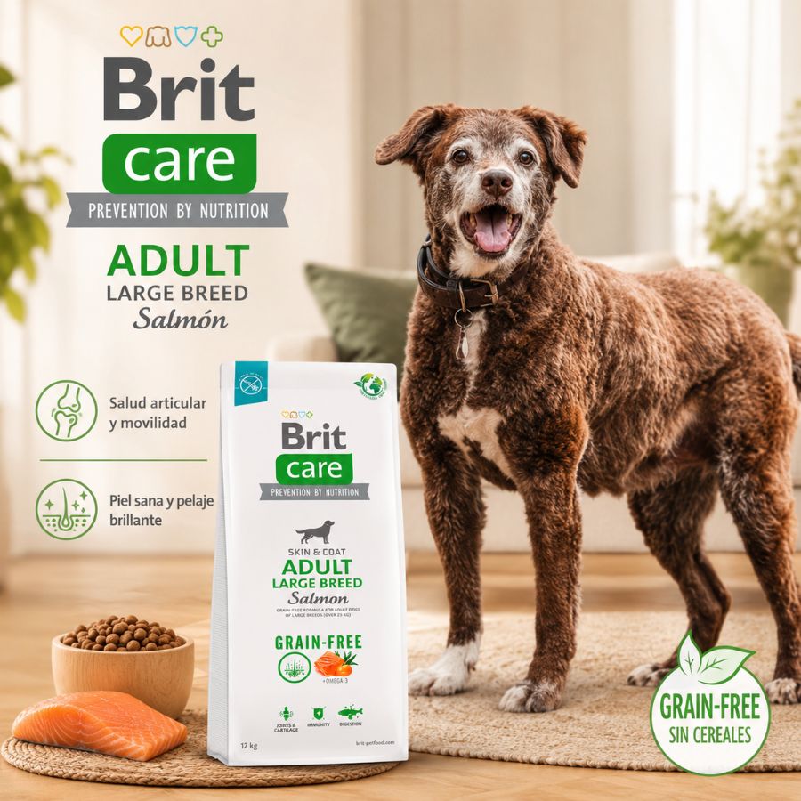 Perro de raza grande junto a la bolsa de Brit Care Salmón grain-free, con apoyo articular y piel y pelaje sanos