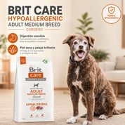 Perro mediano junto a la bolsa de Brit Care Cordero, con beneficios de digestión sensible y piel y pelaje sanos