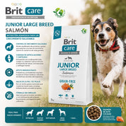 Brit Care Dog Grain-Free Junior Large Breed Salmón 3KG, alimento sin cereales para cachorros de razas grandes, promueve crecimiento óptimo y protege articulaciones.