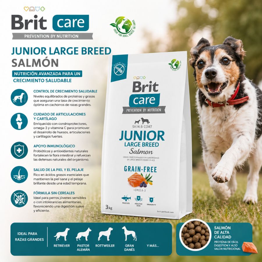 Brit Care Dog Grain-Free Junior Large Breed Salmón 3KG, alimento sin cereales para cachorros de razas grandes, promueve crecimiento óptimo y protege articulaciones.