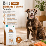 Perro senior junto a la bolsa de Brit Care Senior & Light Salmón: control de peso, apoyo articular y cuidado del corazón