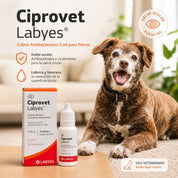 Perro junto a la caja y el frasco de Ciprovet Labyes para perros, con sus beneficios antibacteriano y cicatrizante