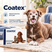 Perro senior de pelo café junto a la caja de Coatex, con infografía sobre barrera de la piel y pelaje con omega-3 y omega-6