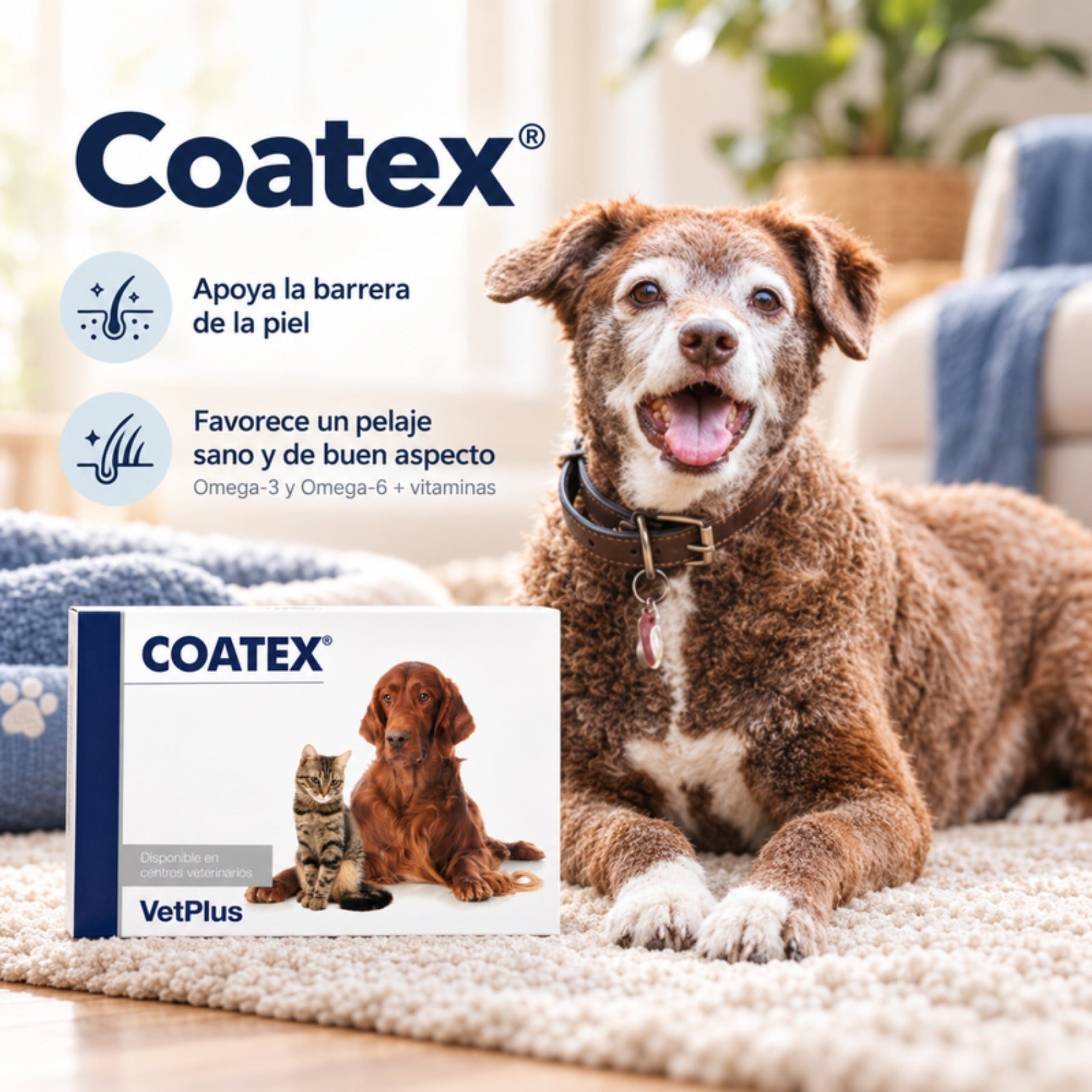 Perro senior de pelo café junto a la caja de Coatex, con infografía sobre barrera de la piel y pelaje con omega-3 y omega-6