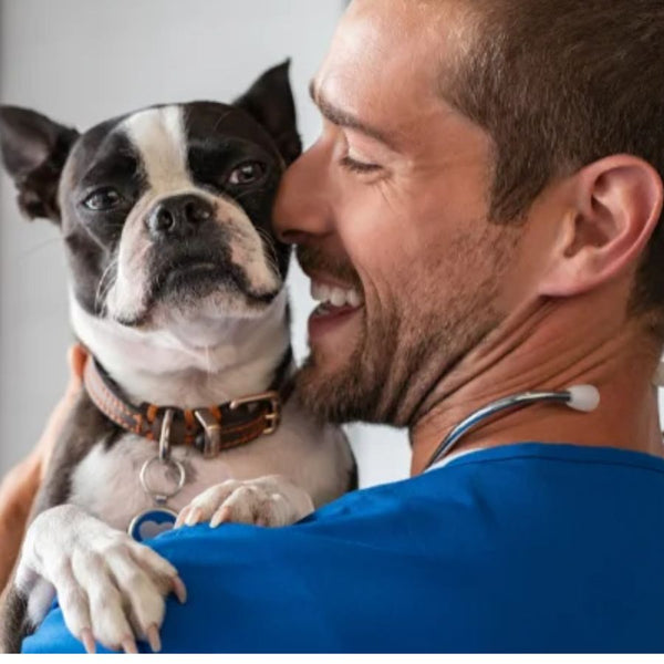 Consulta veterinaria nutricional para perros en Providencia, Santiago