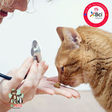 Consulta Veterinaria Presencial para Gatos