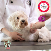 Atención veterinaria para perros en un entorno tranquilo y diseñado para peluditos. Diagnósticos precisos, manejo amable y cuidados personalizados.