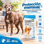 Perro grande junto a Credelio 3 comprimidos 22 a 45 kg: control de pulgas y garrapatas, demodicosis y una toma al mes