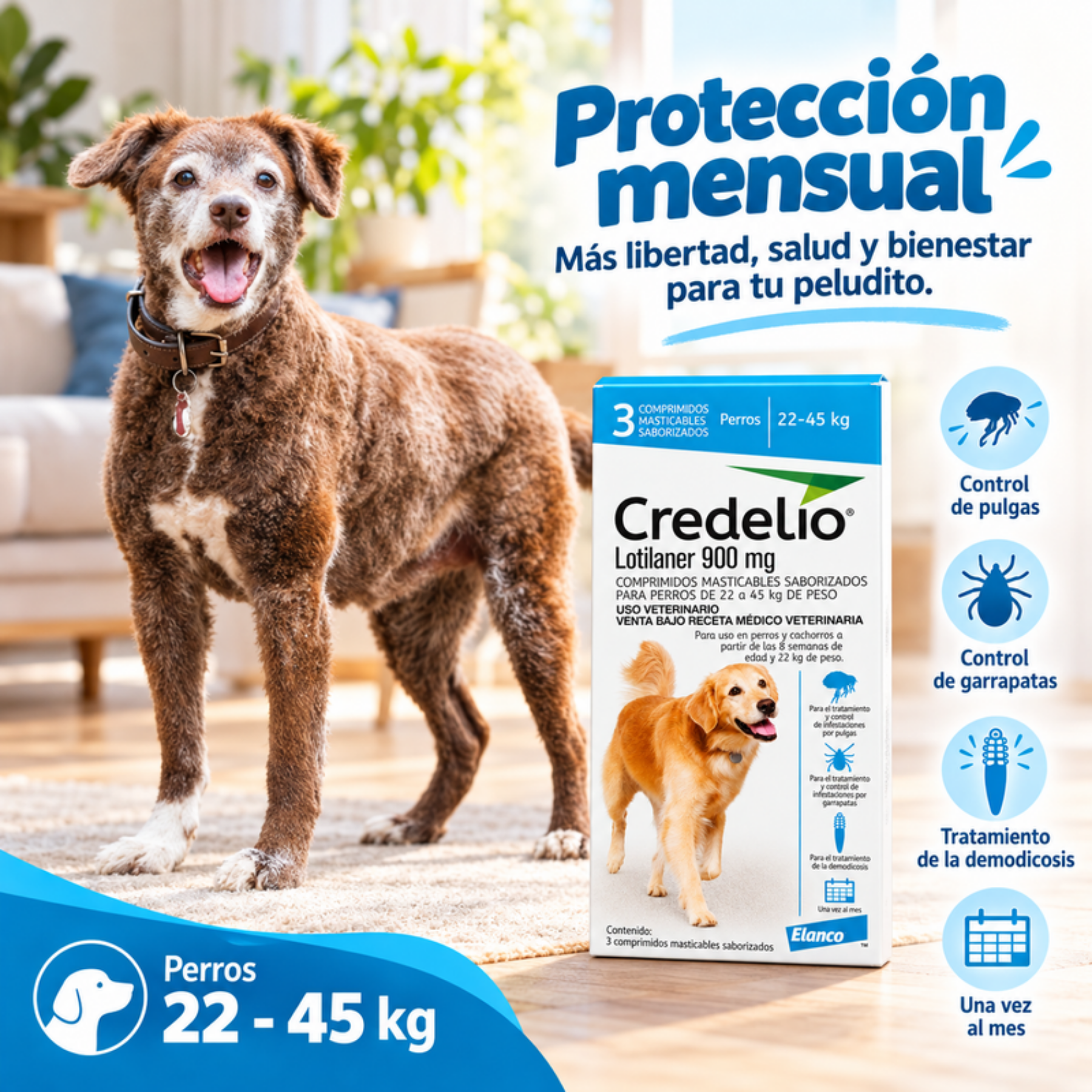Perro grande junto a Credelio 3 comprimidos 22 a 45 kg: control de pulgas y garrapatas, demodicosis y una toma al mes