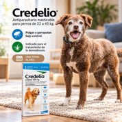 Perra junto a la caja de Credelio 22 a 45 kg, antiparasitario masticable mensual contra pulgas y garrapatas