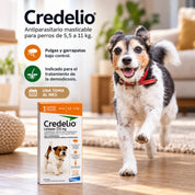 Perro pequeño corriendo junto a la caja de Credelio, antiparasitario masticable mensual contra pulgas y garrapatas