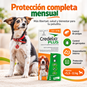 Perro junto a Credelio Plus 5,5 a 11 kg: control de pulgas y garrapatas, desparasitación interna y protección mensual