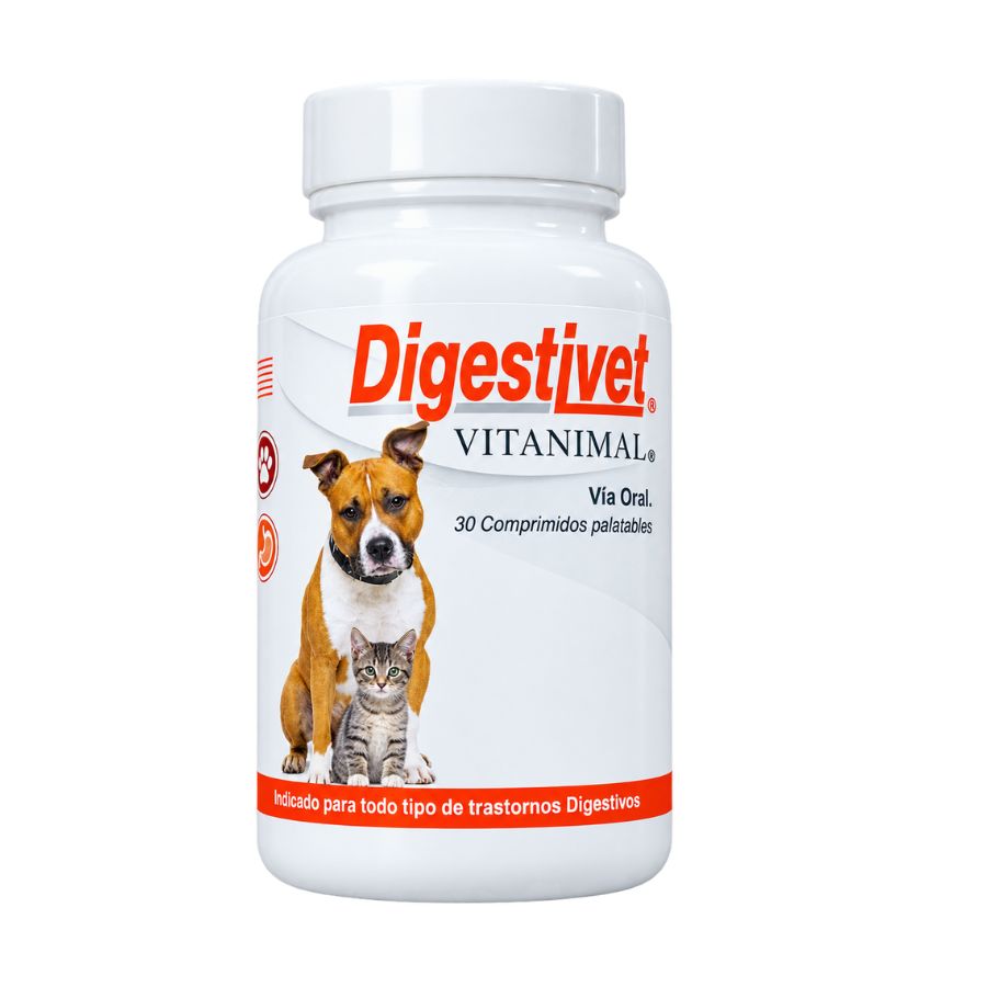 Frasco frontal de Digestivet Vitanimal 30 comprimidos, suplemento digestivo con alfa-galactosidasa para perros y gatos