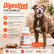 Infografía de Digestivet Vitanimal con perro: apoyo frente a gases, coadyuvante digestivo y alfa-galactosidasa 100 mg