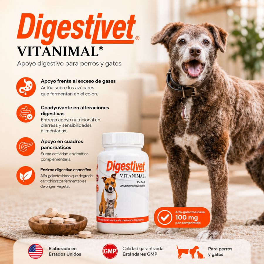 Infografía de Digestivet Vitanimal con perro: apoyo frente a gases, coadyuvante digestivo y alfa-galactosidasa 100 mg