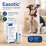 Infografía de Easotic: antibiótico, antifúngico y corticoide, dosis de 1 mL por oído y pauta corta de 5 días
