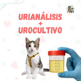 Examen Urianálisis + Urocultivo