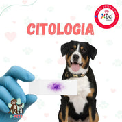 Citologia