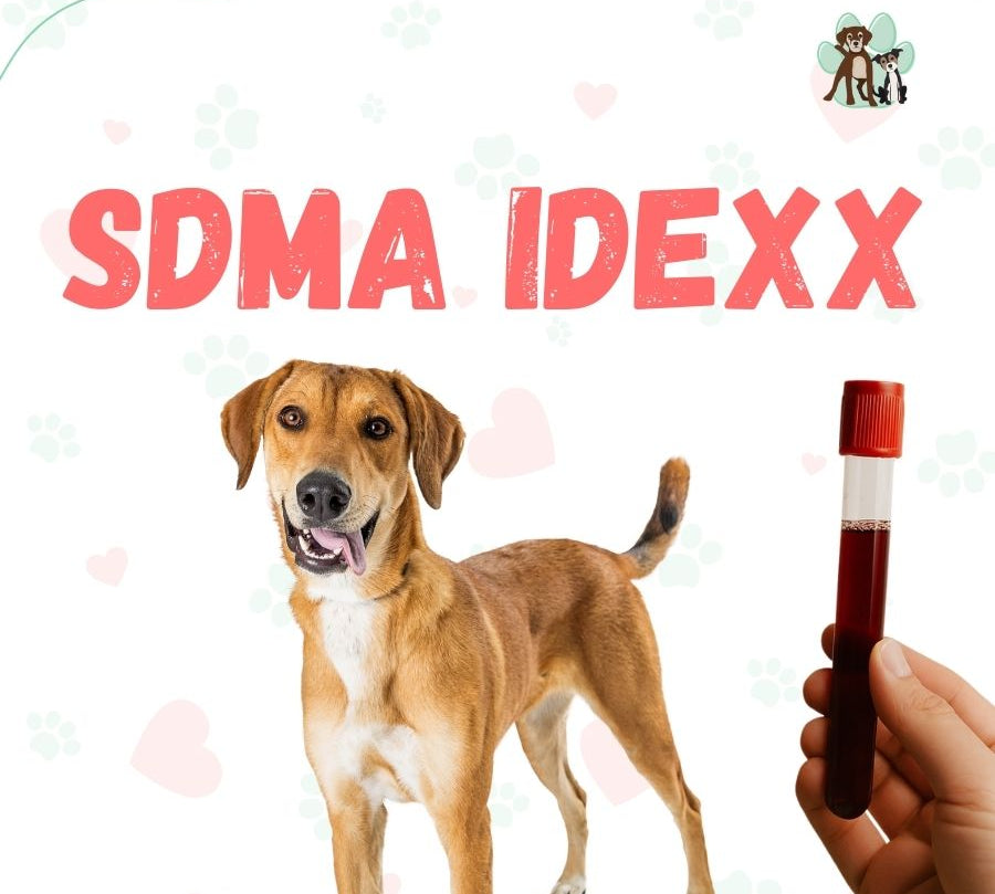 examen-sdma-idexx-para-perros-gatos.jpg