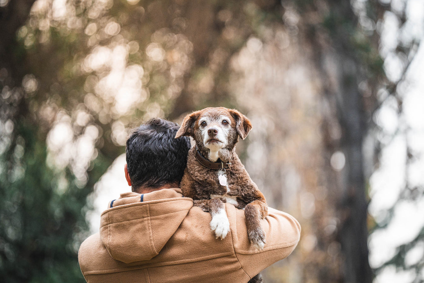 Familia con su perro — Petshop y veterinaria pet friendly