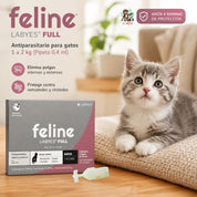 Gatito junto a la caja de Feline Labyes Full 0,4 ml, antiparasitario spot-on de triple acción para gatos