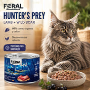 Feral Hunter's Prey 200 g junto a un gato Maine Coon: 97 % de carne y proteínas poco habituales