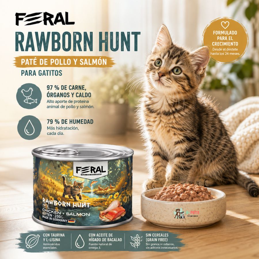 Feral Rawborn Hunt 200 g junto a un gatito: 97 % de carne, 79 % de humedad y sin cereales