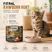 Feral Rawborn Hunt 400 g junto a un gatito y su plato: 97 % de carne, sin cereales, con taurina y L-lisina